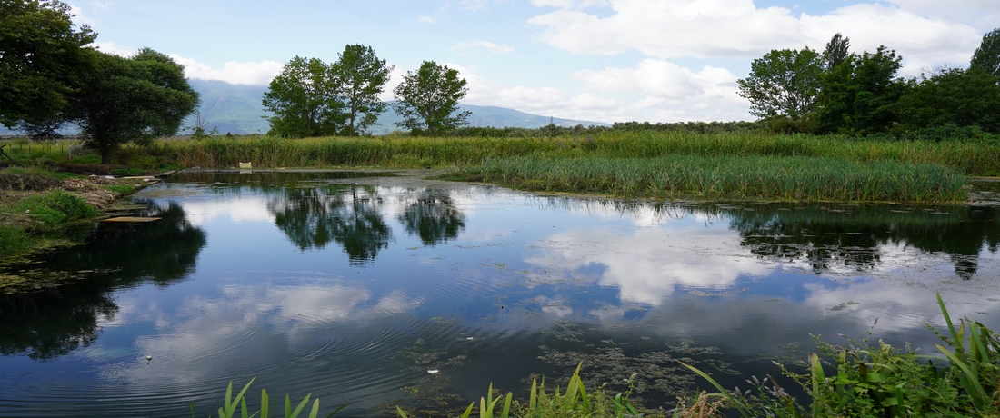 Köyümüzden bir manzara 